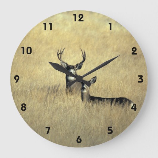 Mule Deer in California Wall Clock Grote Klok (Voorkant)