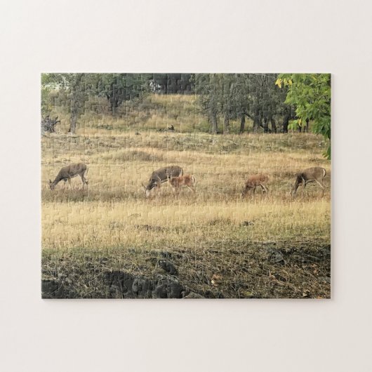 Mule Deer in een veld Legpuzzel (Horizontaal)