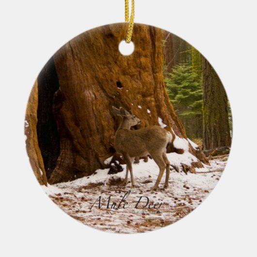 Mule Deer Keramisch Ornament (Voorkant)