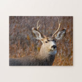 Mule Deer. Legpuzzel (Horizontaal)