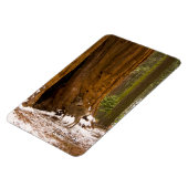 Mule Deer Magneet (Linkerzijde)