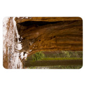 Mule Deer Magneet (Horizontaal)