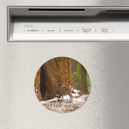 Mule Deer Magneet (Insitu (Vaatwasser))