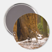 Mule Deer Magneet (Voorkant / Achterkant)