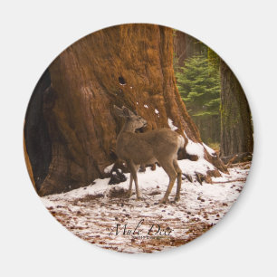 Mule Deer Magnet