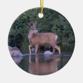"Mule Deer Making an Early Morning River Crossing" Keramisch Ornament