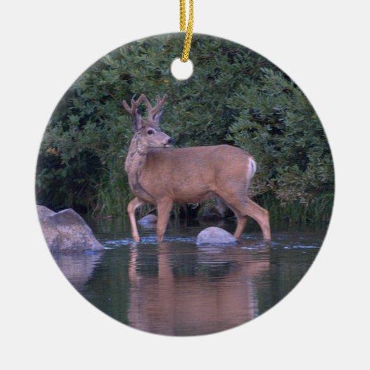"Mule Deer Making an Early Morning River Crossing" Keramisch Ornament (Voorkant)
