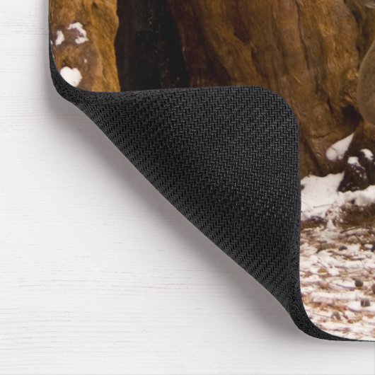 Mule Deer Muismat (Hoek)