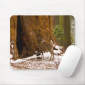 Mule Deer Muismat (Met muis)