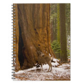 Mule Deer Notitieboek (Voorkant)