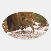 Mule Deer Ovale Sticker (Voorkant)