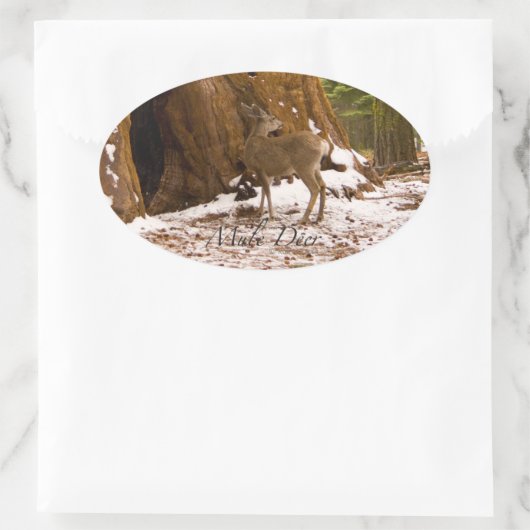 Mule Deer Ovale Sticker (Tas)