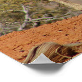 Mule Deer Poster (Hoek)