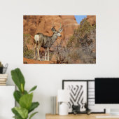 Mule Deer Poster (Thuiskantoor)