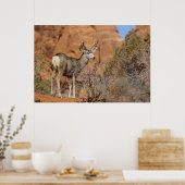 Mule Deer Poster (Keuken)