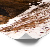 Mule Deer Poster (Hoek)