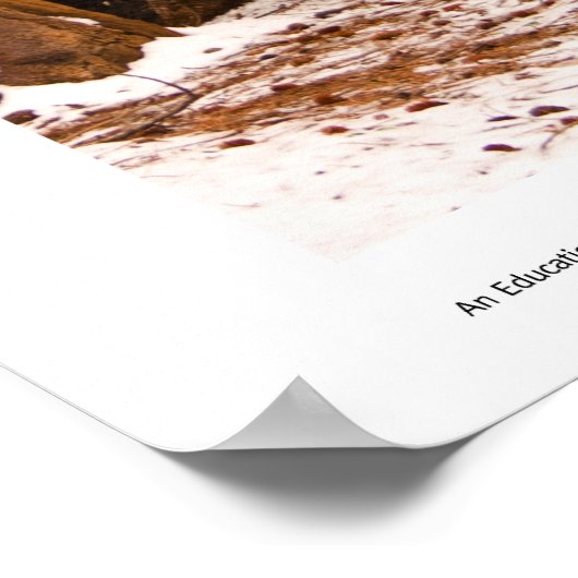 Mule Deer Print (Hoek)