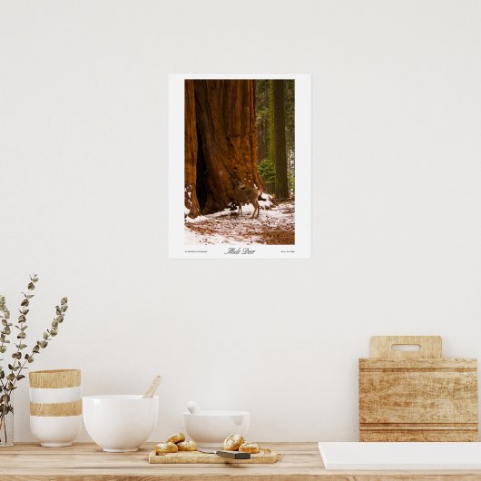 Mule Deer Print (Keuken)