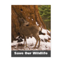 Mule Deer Save Our Wildlife Briefkaart