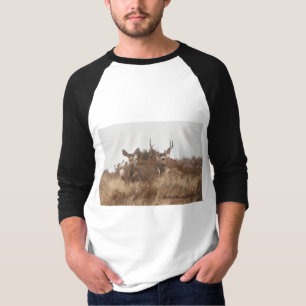 MULE DEER-SHIRTEN T-SHIRT