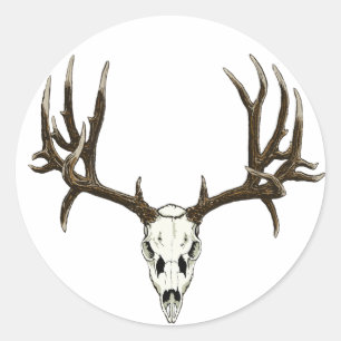 Mule Deer skull Ronde Sticker