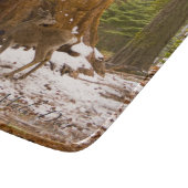 Mule Deer Snijplank (Hoek)