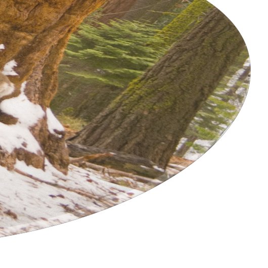 Mule Deer Snijplank (Hoek)