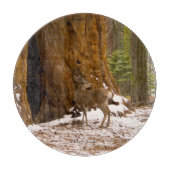 Mule Deer Snijplank (Voorkant)