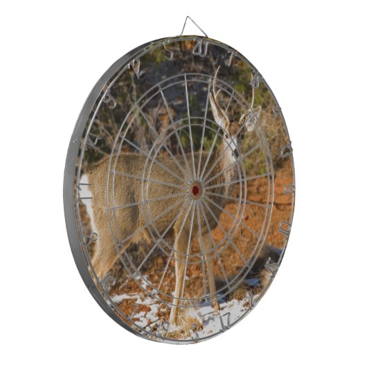 Mule Deer Staring Dartbord (Voorkant Links)