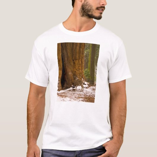 Mule Deer T-shirt (Voorkant)