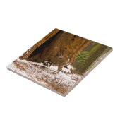 Mule Deer Tegeltje (Zijkant)