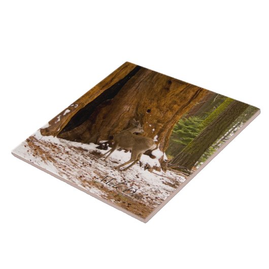 Mule Deer Tegeltje (Zijkant)