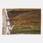 Mule Deer Theedoek (Horizontaal)