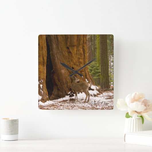 Mule Deer Vierkante Klok (Huis)