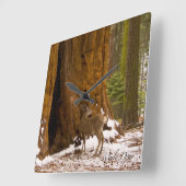 Mule Deer Vierkante Klok (Hoek)