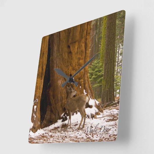 Mule Deer Vierkante Klok (Hoek)