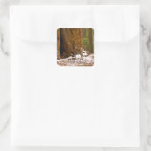 Mule Deer Vierkante Sticker (Tas)