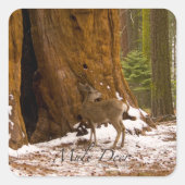 Mule Deer Vierkante Sticker (Voorkant)