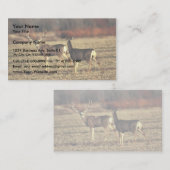 Mule Deer Visitekaartje (Voorkant / Achterkant)