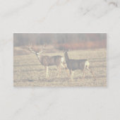 Mule Deer Visitekaartje (Achterkant)