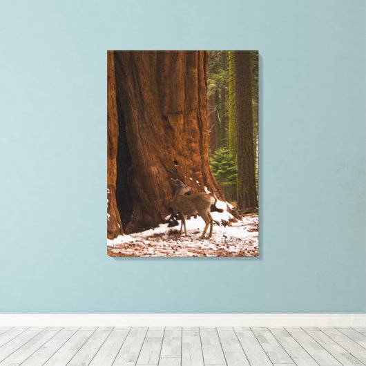 Mule Deer Wrapped Canvas (Insitu (Houten vloer))