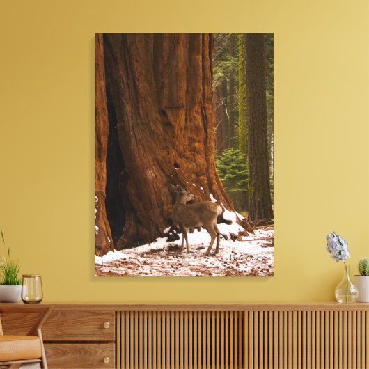 Mule Deer Wrapped Canvas (Insitu (Woonkamer))