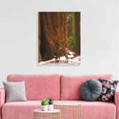 Mule Deer Wrapped Canvas Afdruk (Insitu (Woonkamer))