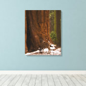 Mule Deer Wrapped Canvas Afdruk (Insitu (Houten vloer))