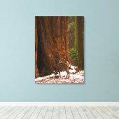 Mule Deer Wrapped Canvas Afdruk (Insitu (Houten vloer))