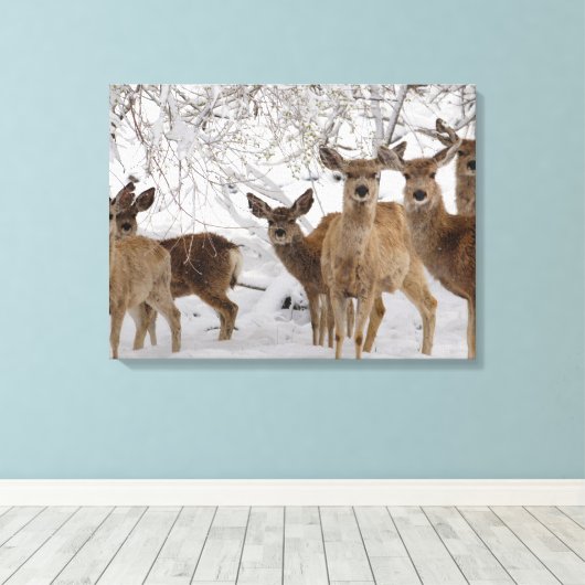 Mule Deer Wyoming Canvas Afdruk (Insitu (Houten vloer))