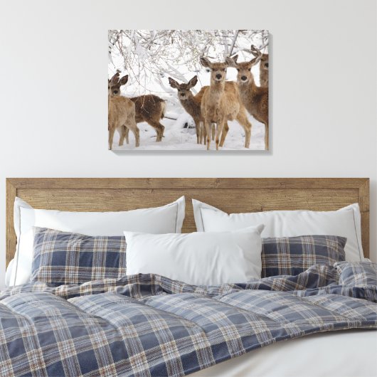 Mule Deer Wyoming Canvas Afdruk (Insitu (Slaapkamer))