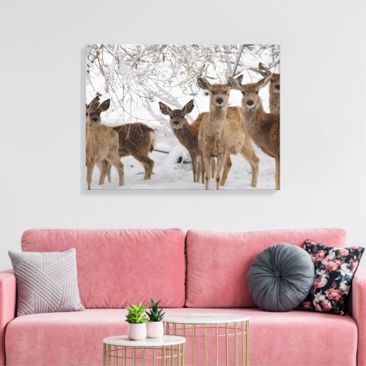 Mule Deer Wyoming Canvas Afdruk (Insitu (Woonkamer))