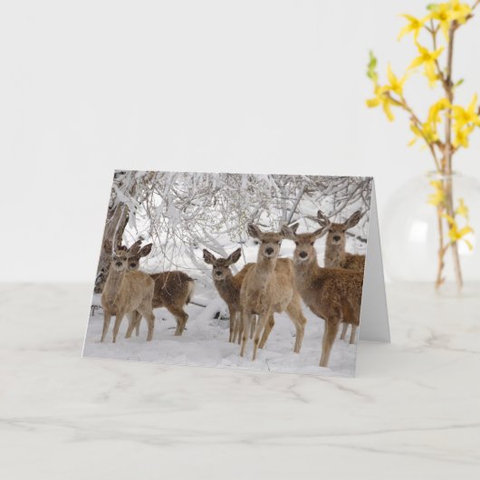 Mule Deer Wyoming Kaart (Gele Bloem)