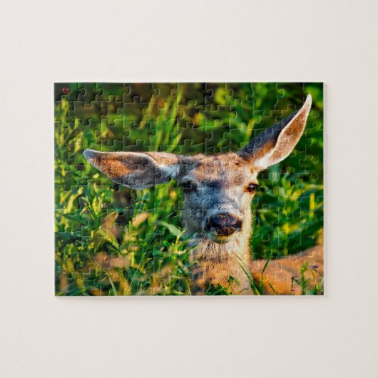 Mule Deer Wyoming Legpuzzel (Horizontaal)
